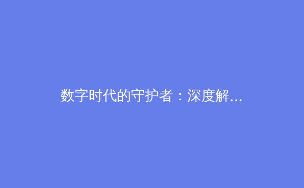 数字时代的守护者：深度解析VPN技术演进与未来趋势 - 4