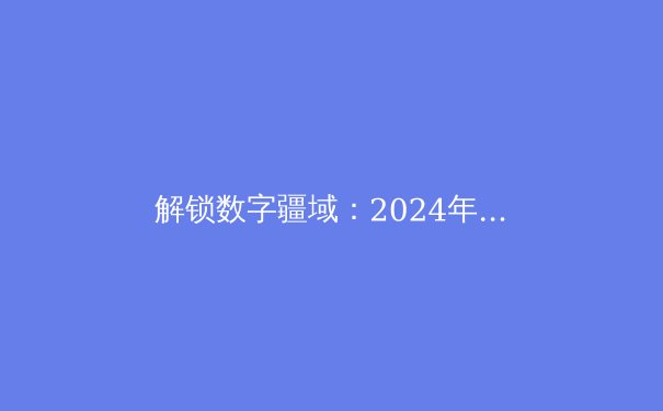 解锁数字疆域：2024年全球VPN技术趋势与安全应用深度解析 - 3