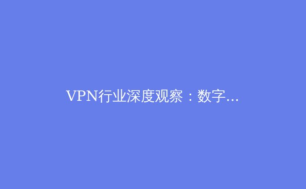 VPN行业深度观察：数字时代的安全壁垒与自由之钥 - 4
