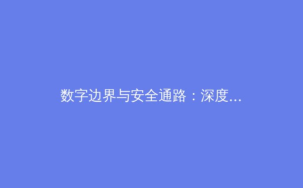 数字边界与安全通路：深度解析全球VPN技术演进与合规应用 - 4