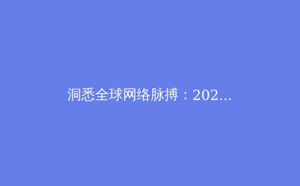 洞悉全球网络脉搏：2024年VPN技术演进与合规使用深度解析
