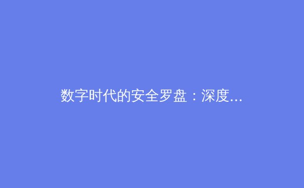数字时代的安全罗盘：深度解析全球VPN技术演进与合规使用指南 - 3