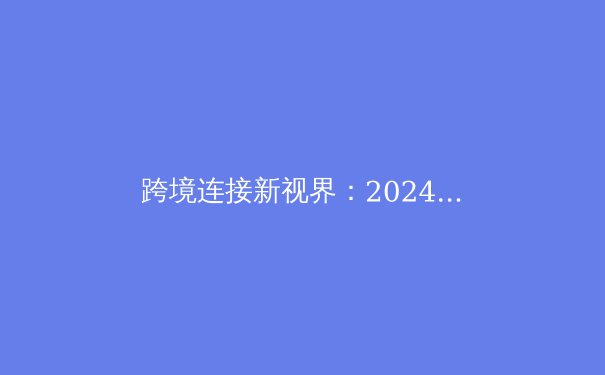 跨境连接新视界：2024年全球VPN技术演进与网络安全格局深度解析 - 3